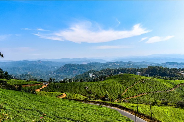 Honeymoon-Resorts-in-Munnar